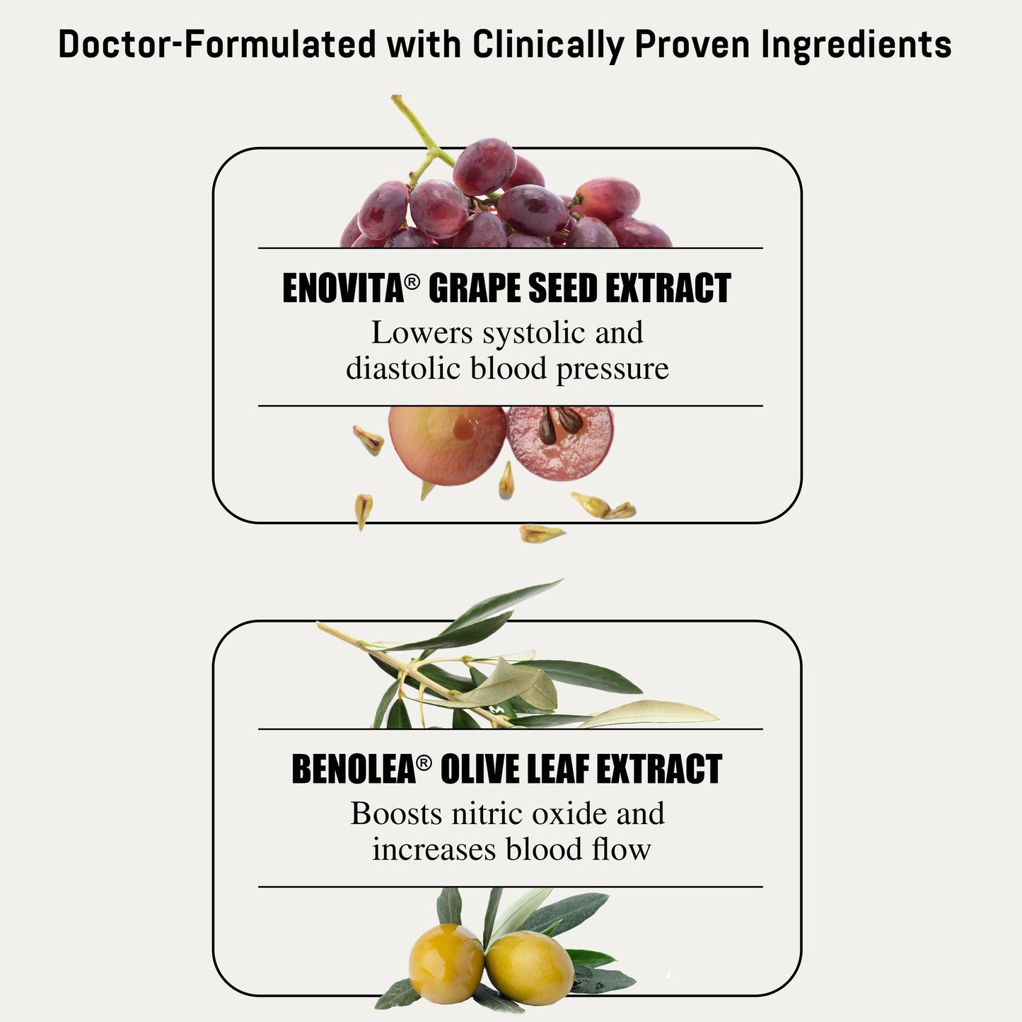 Bizorn BLOOD PRESSURE®