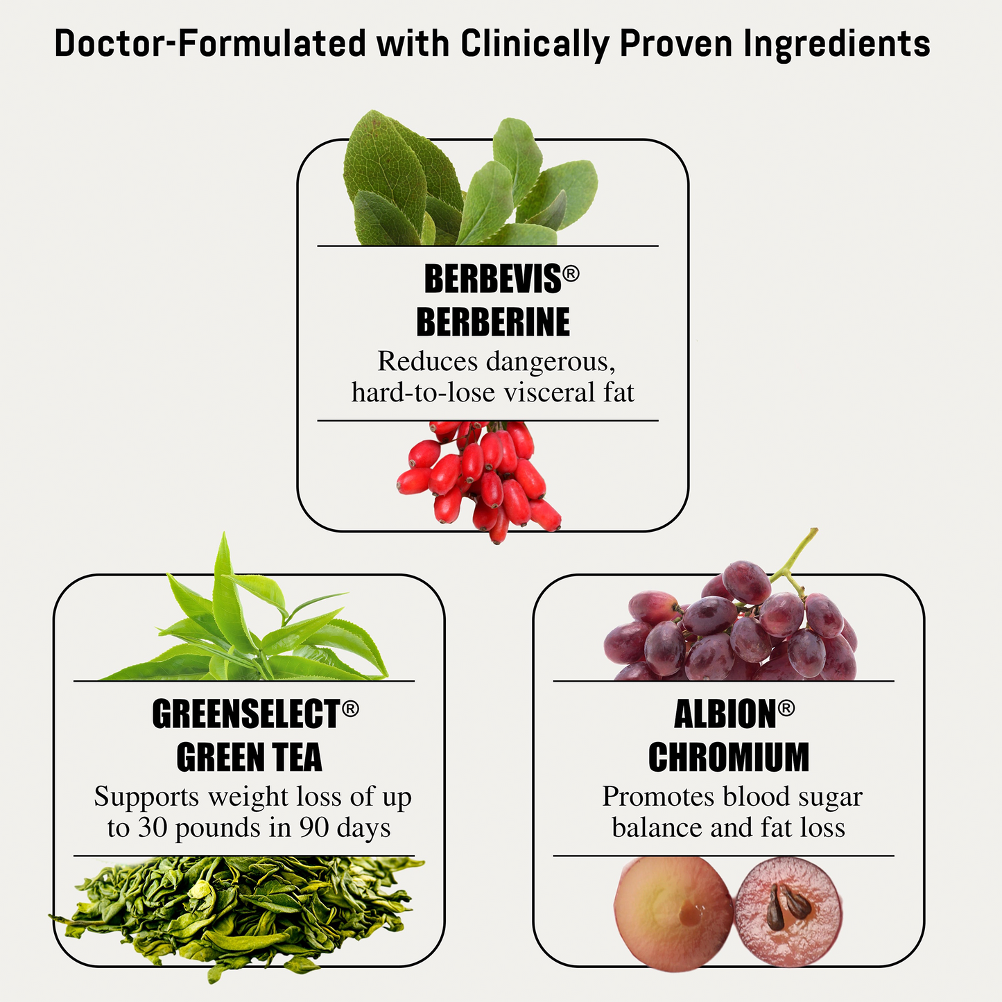 Bizorn BERBERINE®